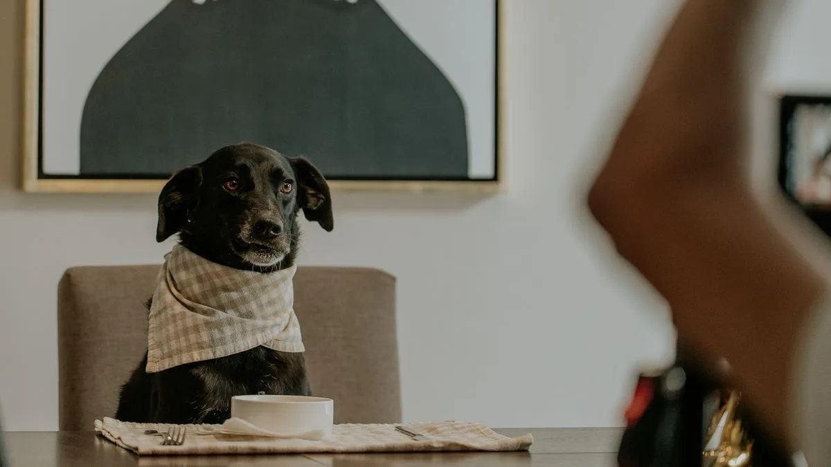 Does Your Dog Need Ro Filter