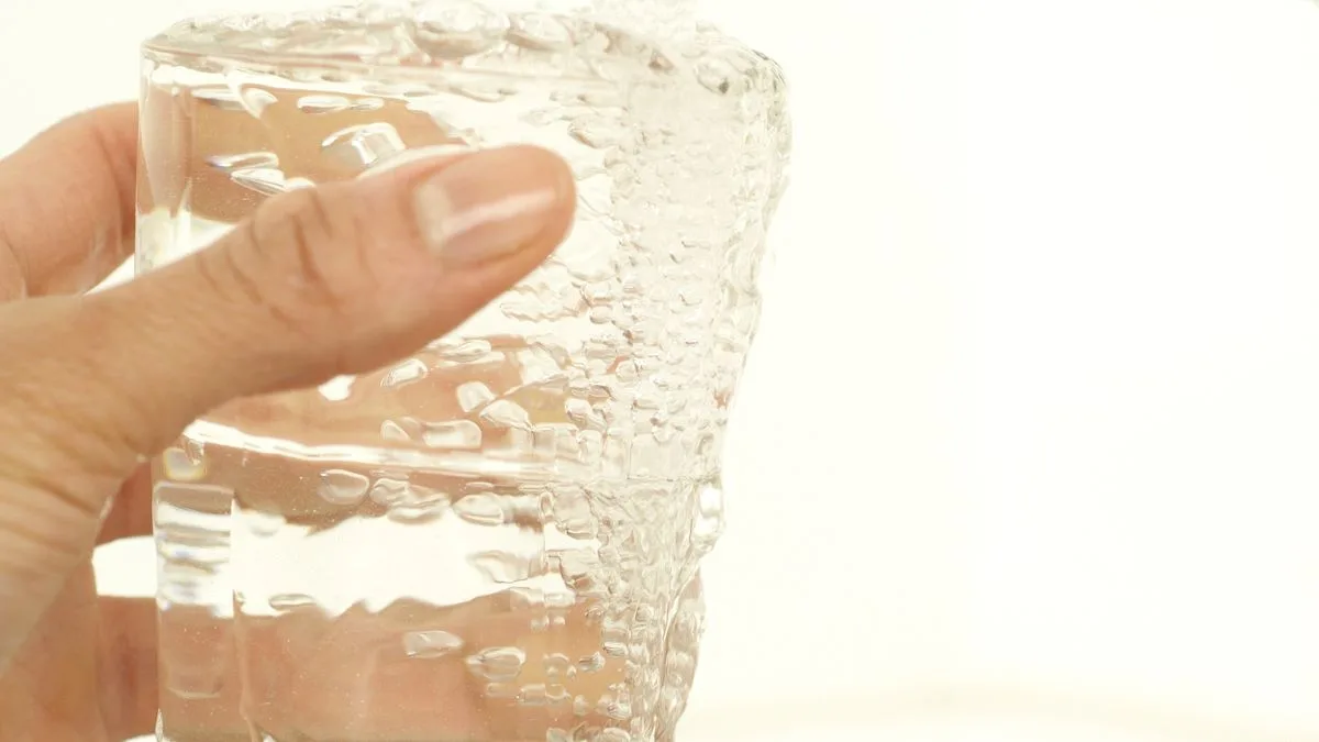 Lead Kidney Disease No Safe Level