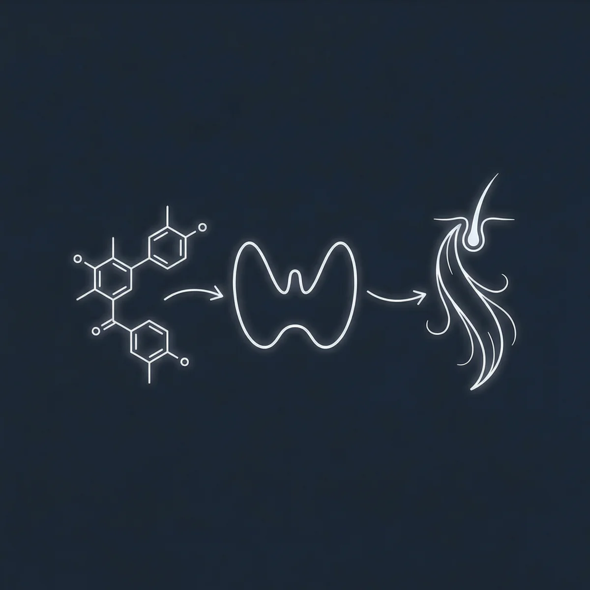 PFAS, Thyroid Problems, and Hair Loss Link